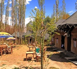 Mystique Meadows Camp Nubra Valley Ladakh