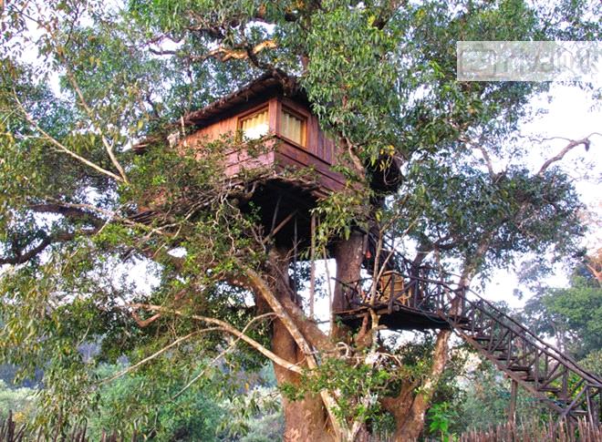 Dandeli Mist A Jungle Stay Dandeli Karnataka