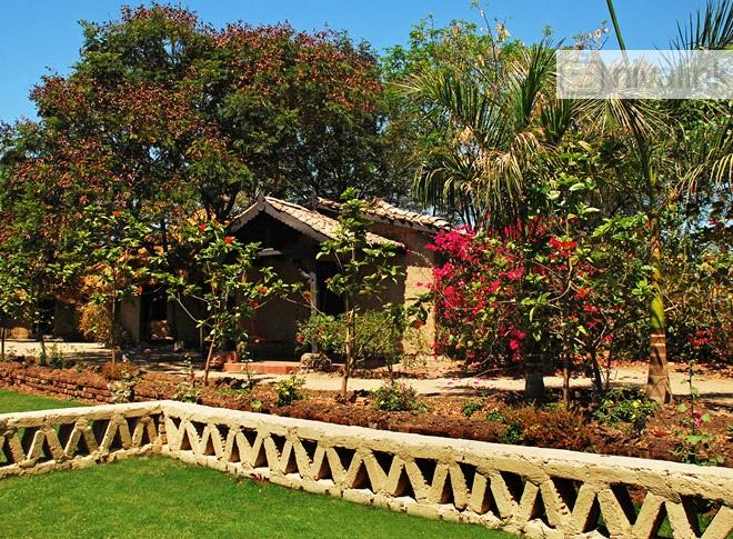 Rann Riders Resort, Dasada, Gujarat
