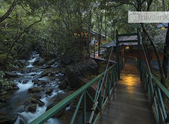 Vythiri Resort Wayanad Kerala