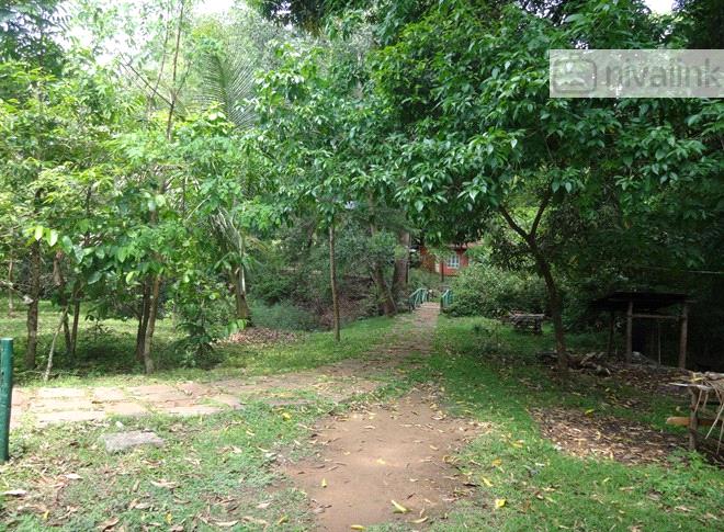 Hornbill River Resort Dandeli Karnataka