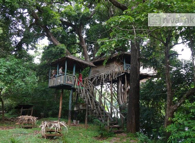 Hornbill River Resort Dandeli Karnataka
