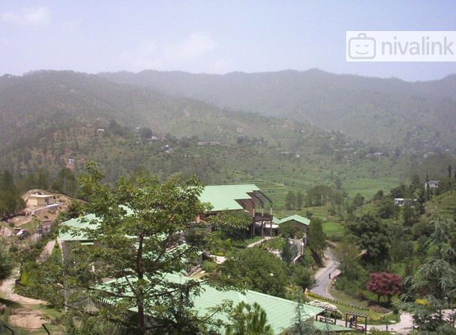 Binsar Valley Resort  Binsar  Uttarakhand