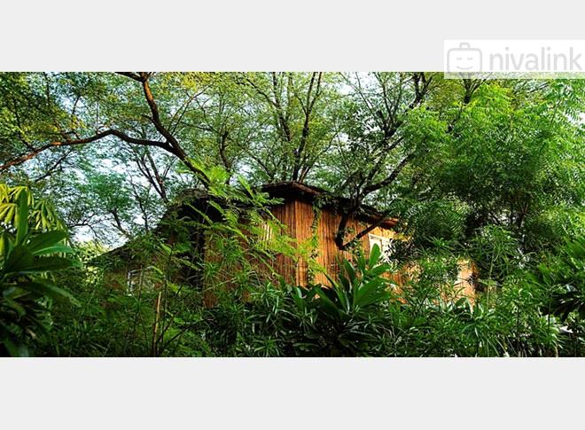 The Water House Resort Jaipur Rajasthan