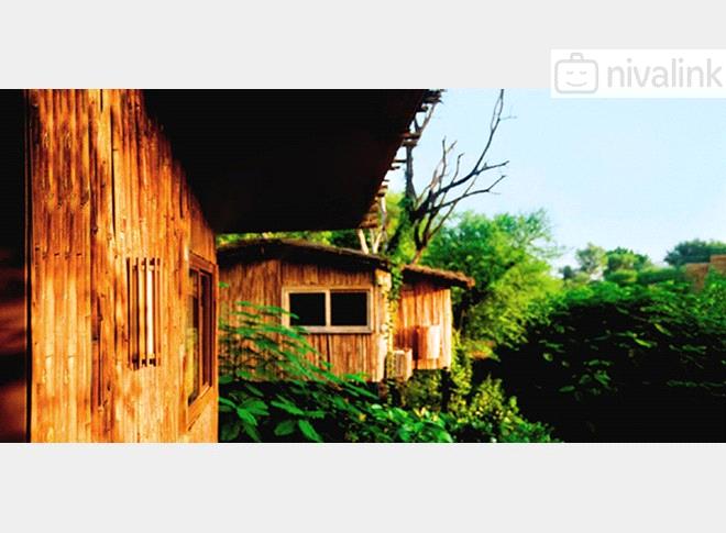 The Water House Resort Jaipur Rajasthan