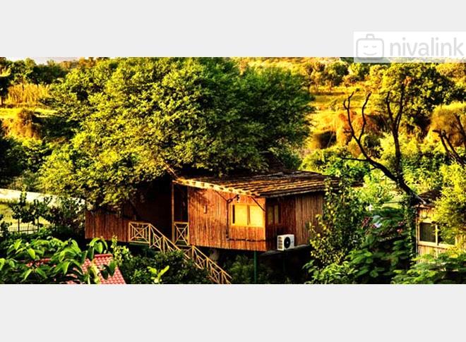 The Water House Resort Jaipur Rajasthan