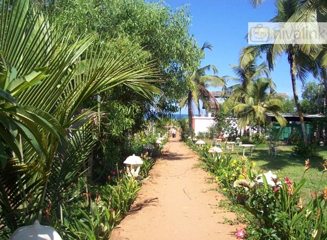 Estrela do Mar Beach Resort, Baga, North Goa