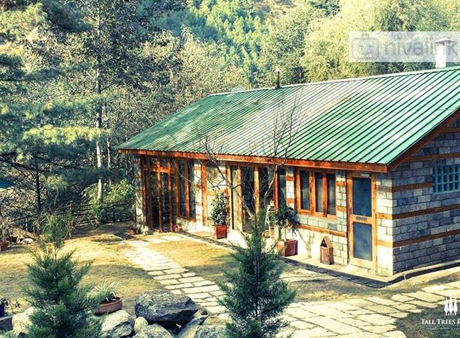 Tall Trees Resort Manali Himachal Pradesh