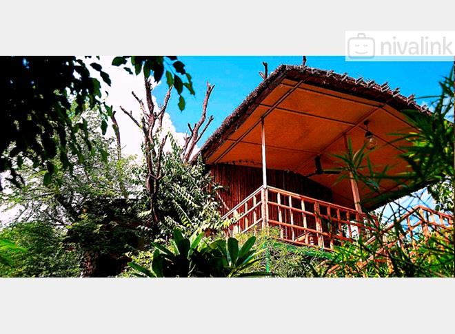 The Tree House Resort Jaipur Rajasthan