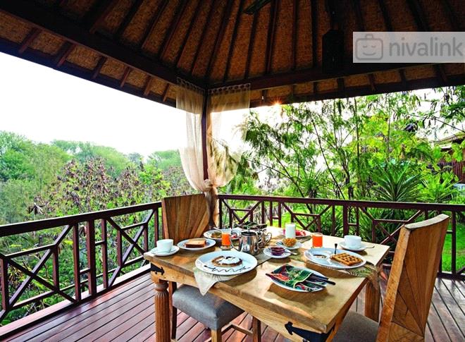 The Tree House Resort Jaipur Rajasthan