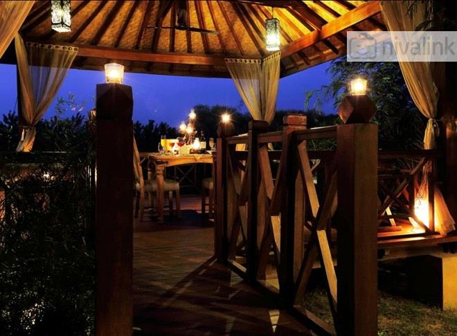 The Tree House Resort Jaipur Rajasthan