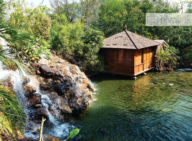 The Tree House Resort Jaipur Rajasthan