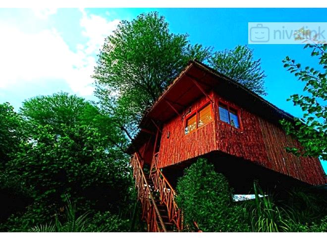 The Tree House Resort Jaipur Rajasthan